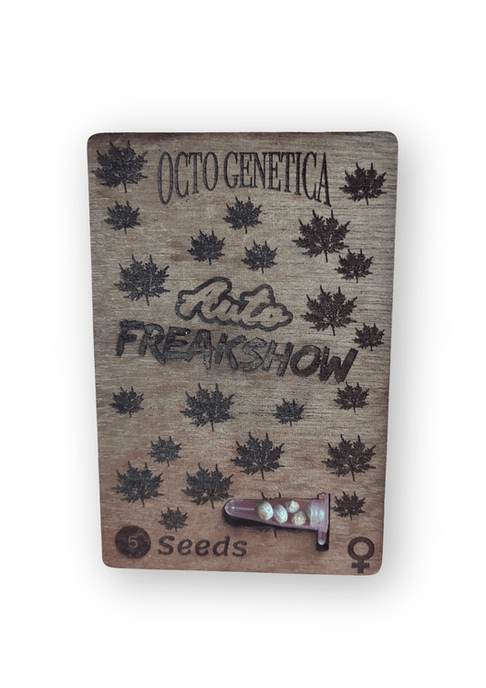 Octo Genetica | Auto Freakshow | Semi Autofiorenti - SPUMONI