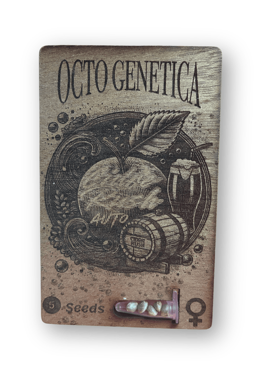 Octo Genetica | Cider Kush Auto | Semi Autofiorenti - SPUMONI