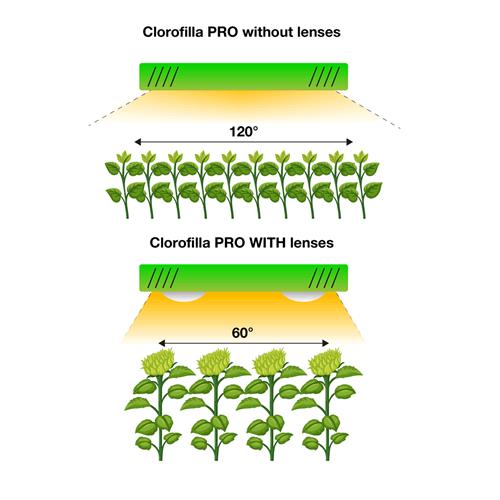PHYTOLITE - LAMPADA LED CLOROFILLA CREE 3070 80 - CLOROFILLA PRO - SPUMONI