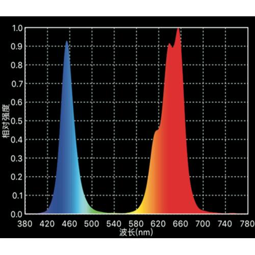 PHYTOLITE - LED NX2 400 - REAL POWER 280W - SPUMONI