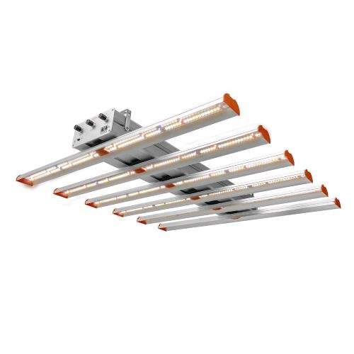 PHYTOLITE - RESINA Q-BOARDS 120 - SPUMONI