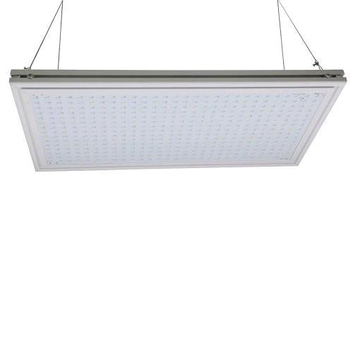 PHYTOLITE - RESINA Q-BOARDS 120 - SPUMONI