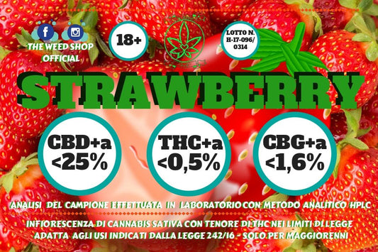 PROVALE TUTTE OUTDOOR - SPUMONI