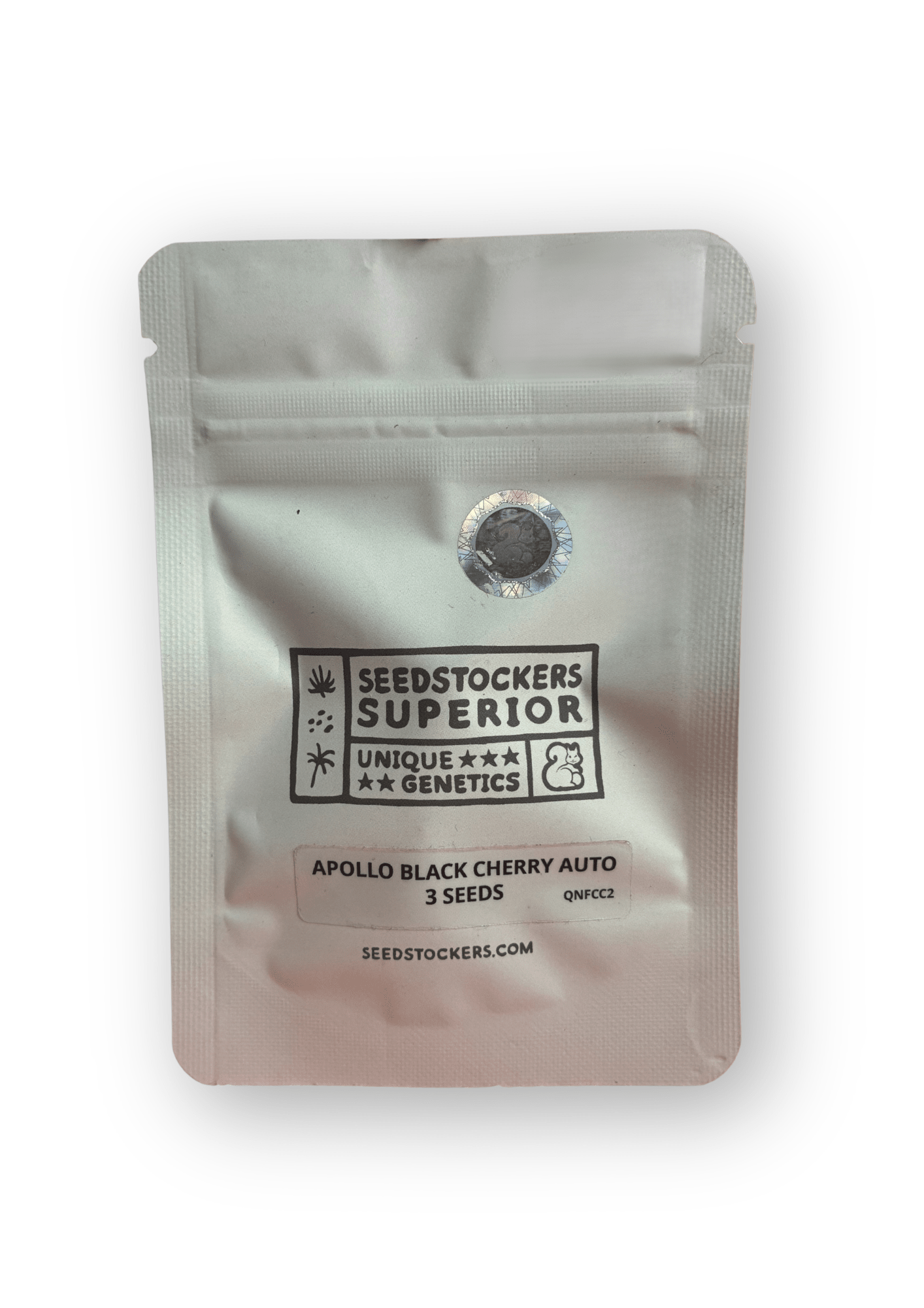 SeedStockers | Apollo Black Cherry Auto | Semi Autofiorenti - SPUMONI