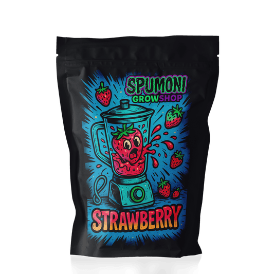 Strawberry - SPUMONI