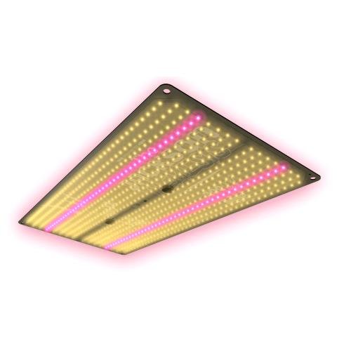 THE JUNGLE - THE JACKSON NEMESIS - DIMMABLE 200W - SPUMONI