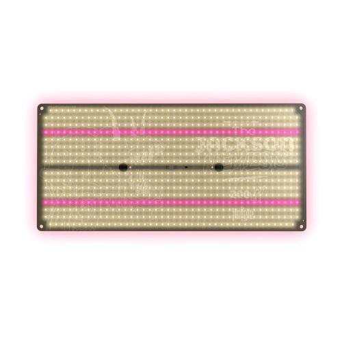 THE JUNGLE - THE JACKSON NEMESIS - DIMMABLE 200W - SPUMONI